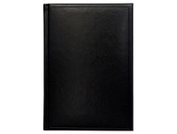 Датированный ежедневник А5 Frame (Фрэйм) GF DDA5 5507 Датированный ежедневник А5 Frame (Фрэйм)