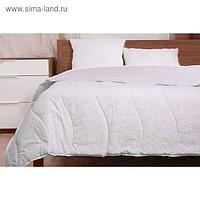 Одеяло Мягкий сон зимнее 172 х 205 см