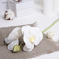 Декоративный цветок "Орхидея"