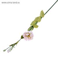 Декоративный цветок "Нежно-розовая эустома"