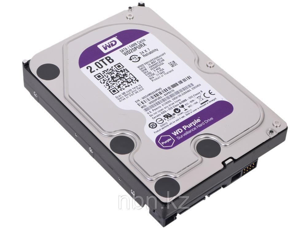 Жесткий диск Western Digital Purple, 2000 GB - фото 1 - id-p55973497