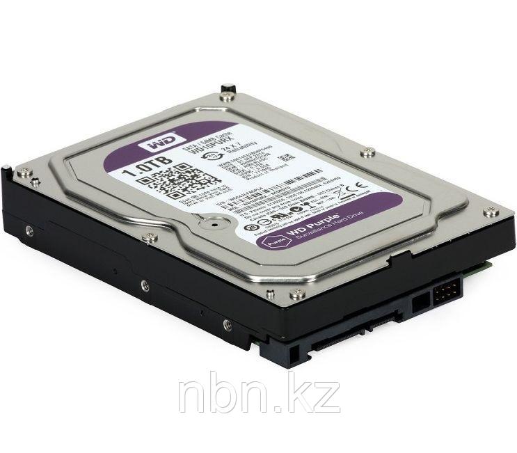 Жесткий диск Western Digital Purple, 1000 GB - фото 1 - id-p55974272