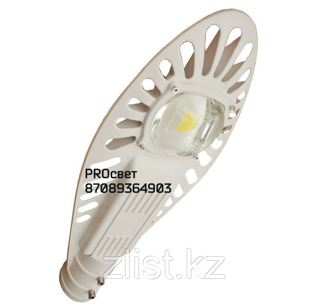 Светодиодный уличный светильник Cob LED 50W 4200K IP65 - фото 1 - id-p55917204