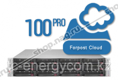 Сервер видеонаблюдения Forpost, на 100 камер (2Мб/с), 14 дней хранение