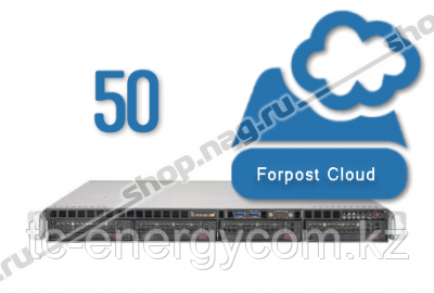 Сервер видеонаблюдения Forpost, на 50 камер (2Мб/с), 14 дней хранение