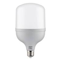 Светодиодная лампа Torch-40 Watt