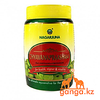 Чаванпраш (Chyavanapraasham NAGARJUNA), 500гр