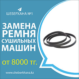 Выезд + Диагностика сушильной машины (барабана) AEG/АЕГ