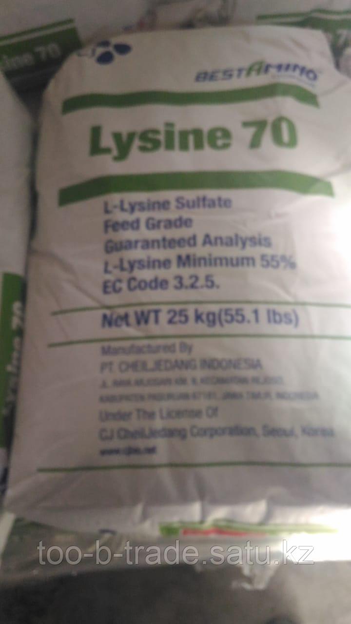 Лизин (L-Lysine) - фото 1 - id-p46263964