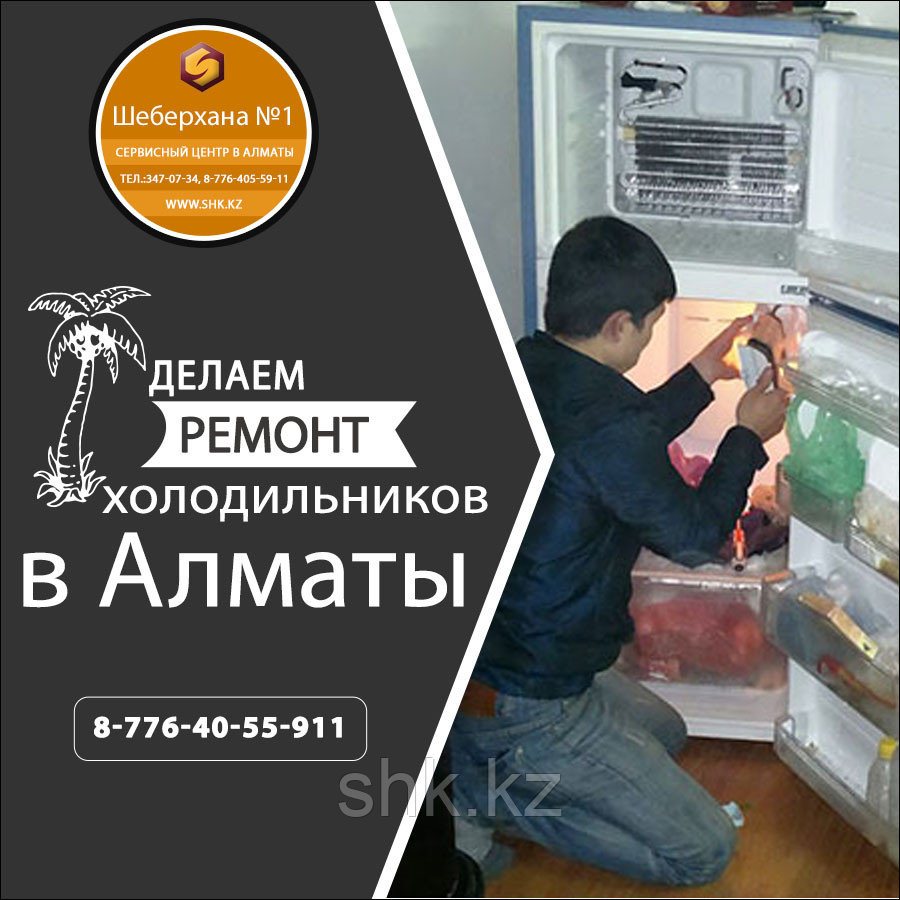 Ремонт холодильников Замена Фреона - фото 1 - id-p56152226