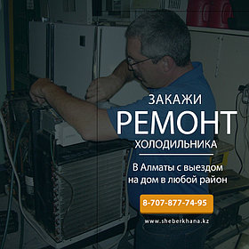 Ремонт и обслуживание холодильных витрин Nemox Polair