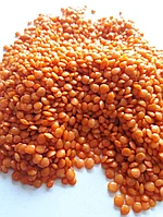 Чечевица красная шлифованная