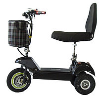 EL-Sport Трицикл SF8 Plus 48V/10Ah (Двойное сидение+спинка)