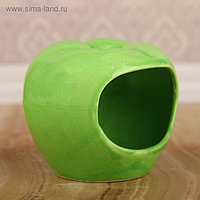 Кормушка для хомячков "Яблоко"  цвет зеленый
