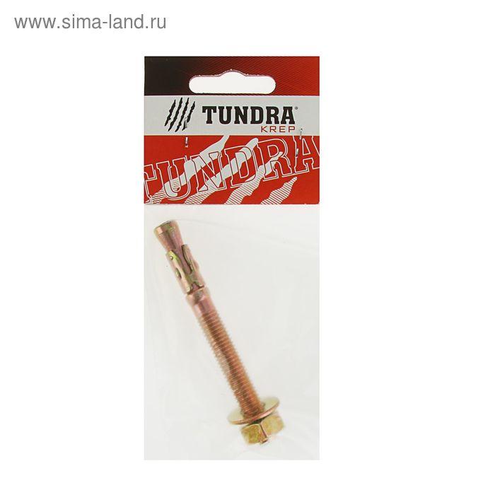 Анкер клиновой TUNDRA krep, 10х95 мм, в пакете 1 шт.