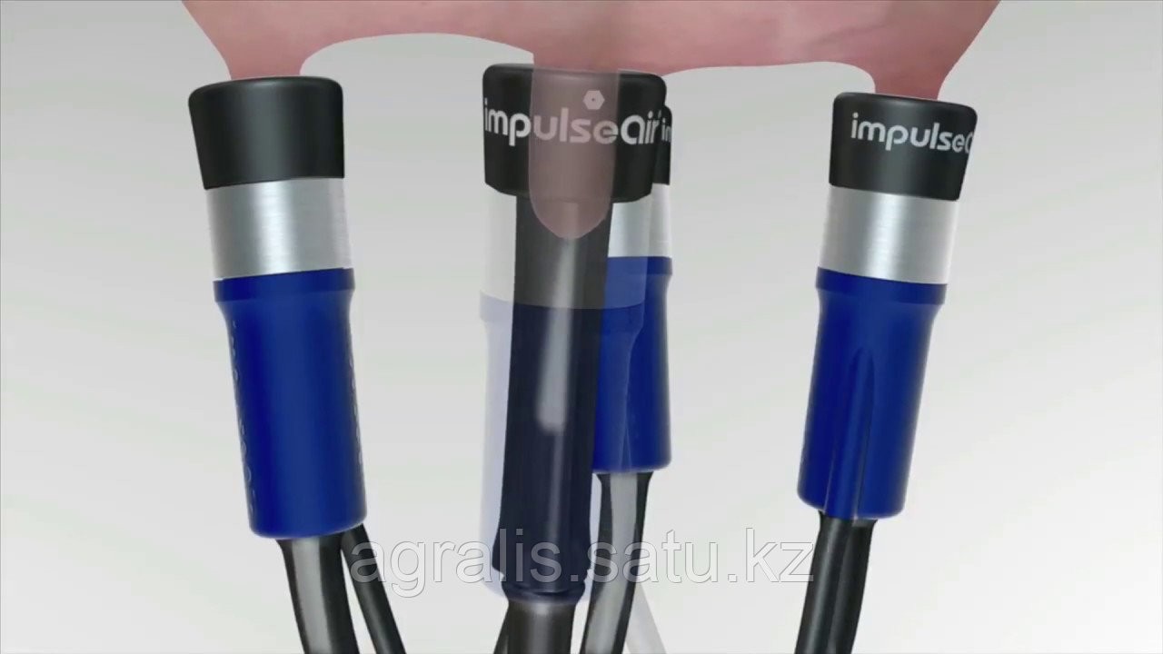 Вентилируемая сосковая резина ImpulseAir EVO IP14, короткая - фото 3 - id-p56349473
