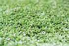 Искусственная трава (газон), фото 2