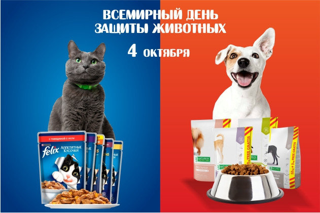 «Всемирный день защиты животных»