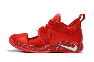 Баскетбольные кроссовки Nike PG 2.5 From Pаul George, фото 1