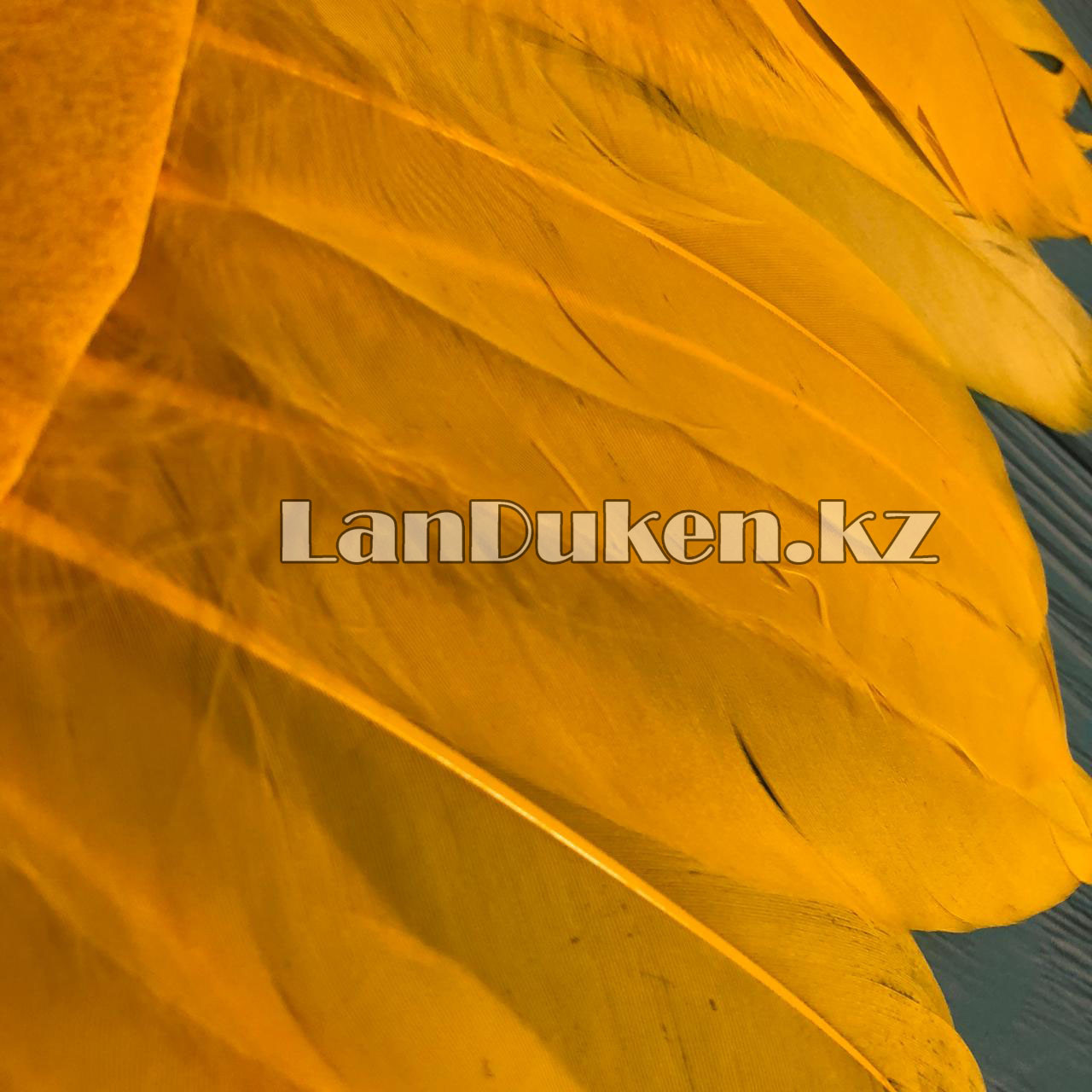 Бразильские перья головной убор желтый - фото 5 - id-p55361605