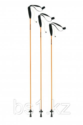 STICK EIGER CM.105 (PAIR)