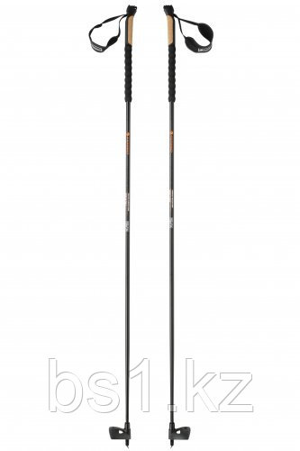 STICK TROFEO MEZZALAMA (PAIR) - фото 1 - id-p56510740