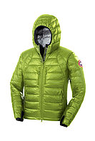 Canada goose Hybridge lite hoody мамық күртеше