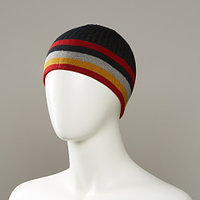 Horizon Stripe Beanie