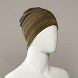 Terroir Stripe Slouch Beanie, фото 3