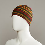 Dakota Stripe Beanie, фото 2