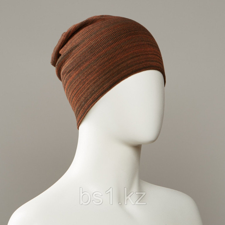 Terroir Stripe Slouch Beanie