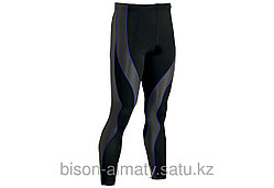 Мужские Штаны CW-X Performx Tight