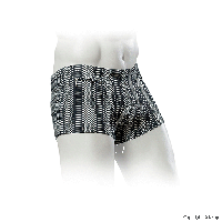 Плавки 24565 PANTS