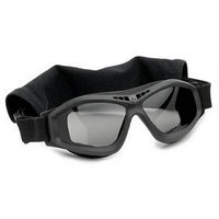 ОЧКИ-МАСКА BULLET ANT BLACK 