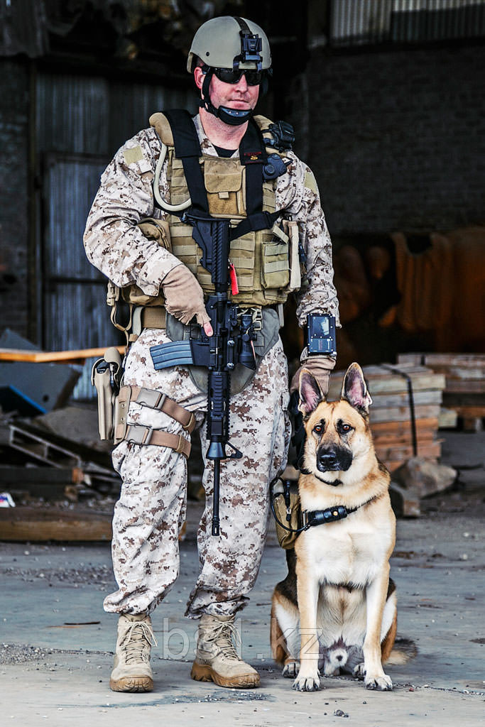 K-9 Chest Mounted Camera - фото 1 - id-p56511082