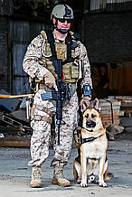 Собачья камера K-9 Chest Mounted Camera