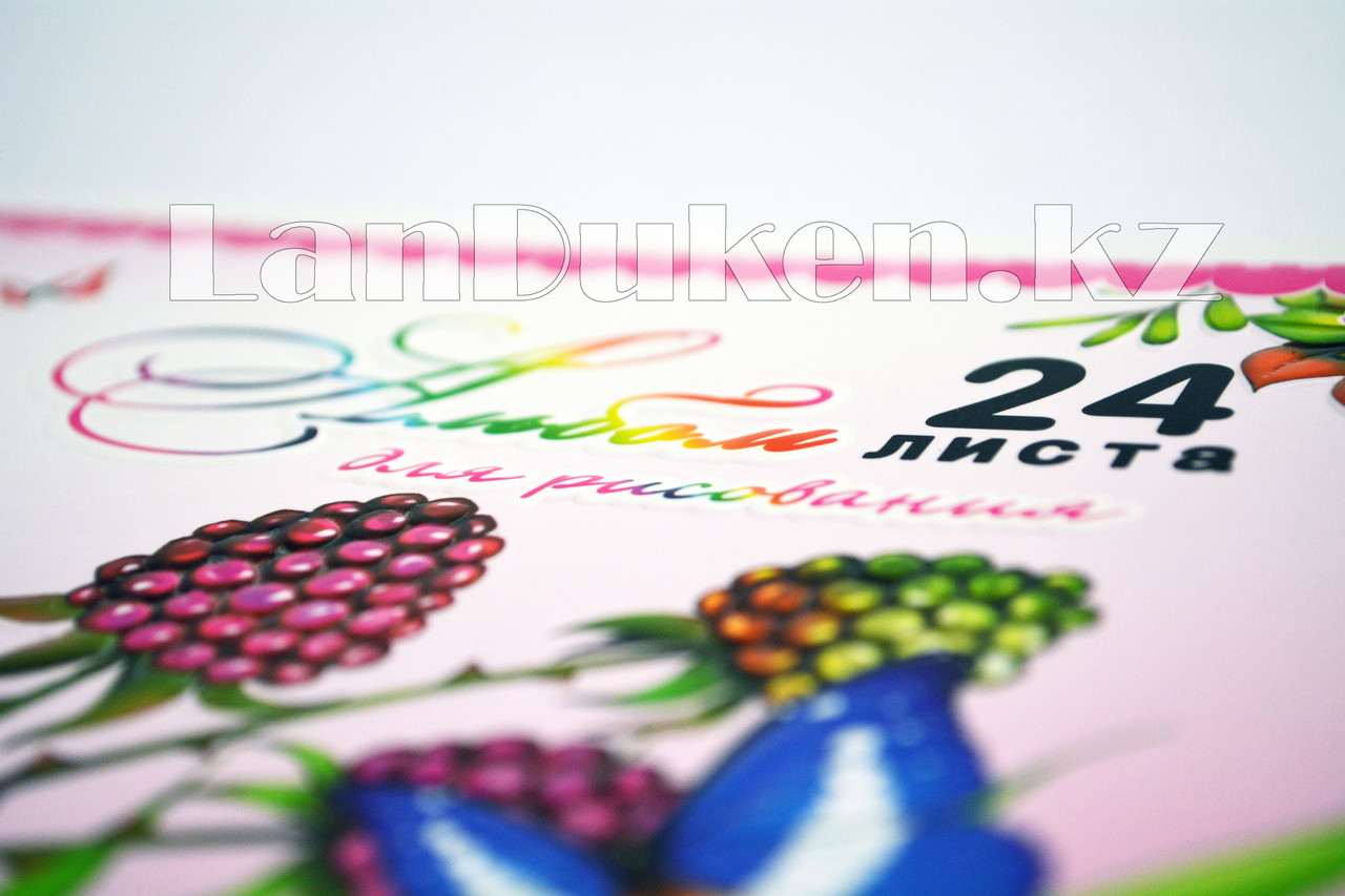 Альбом для рисования 3D цветы и бабочки 24 листа Yalong 811-24-70A - фото 6 - id-p56549347