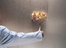 Интерьерные краски