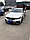 Обвес Forza для BMW G30 5 series, фото 6