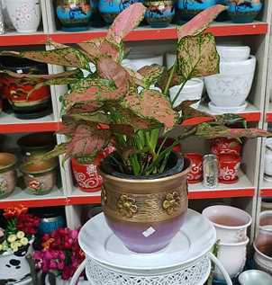 Керамический горшок для цветов. Объем: 1л., фото 2