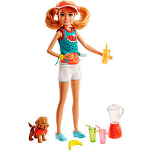 Mattel Barbie FHP63 Барби Сестры и щенки