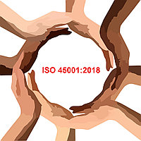 ISO 45001 кәсіби қауіпсіздік және денсаулық менеджменті жүйесін әзірлеу және енгізу