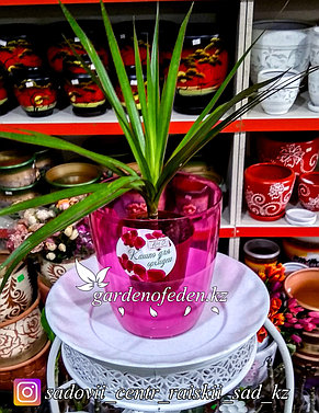 Пластиковое Кашпо Орхидея. Цвет: Фиолетовый. Объем: 1.5л, фото 2