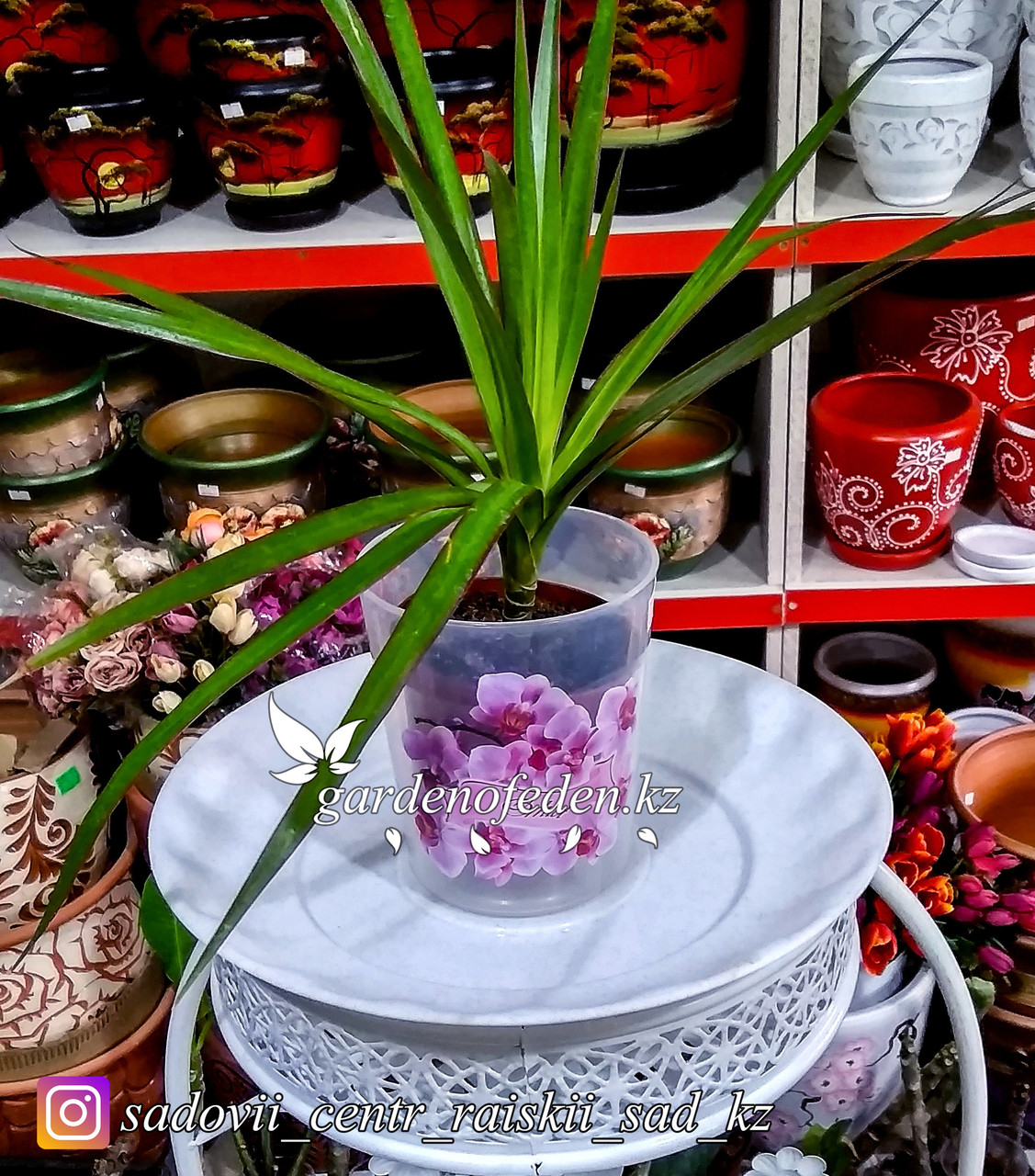 Пластиковый горшок для орхидей. Цвет: Белый. Объем: 0.7л - фото 2 - id-p56709038