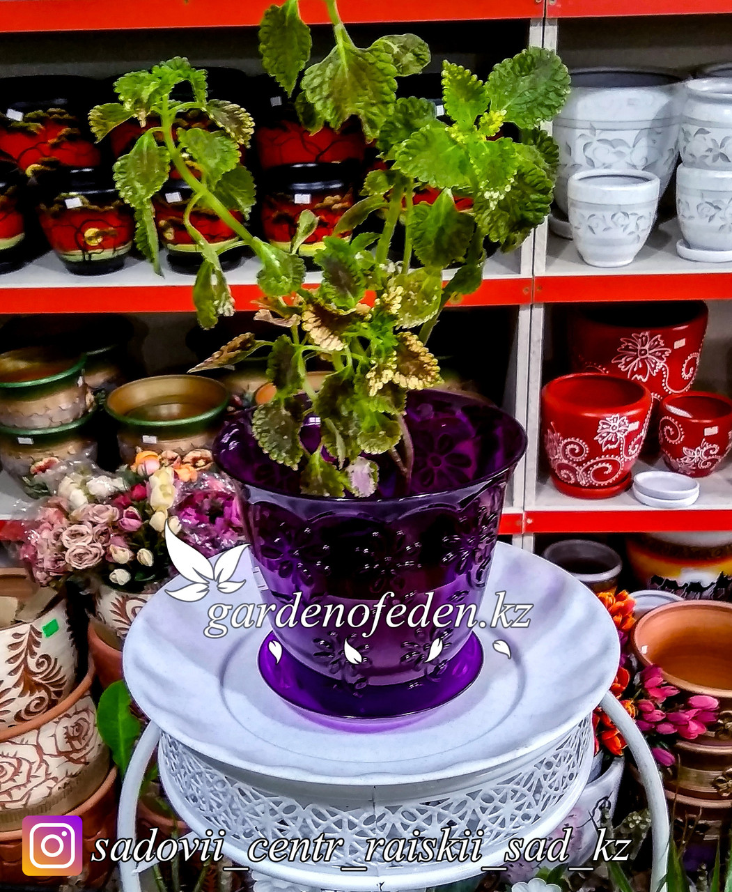 Пластиковый горшок для орхидей "Соблазн". Цвет: Фиолетовый. Объем: 1.5л - фото 2 - id-p56709056