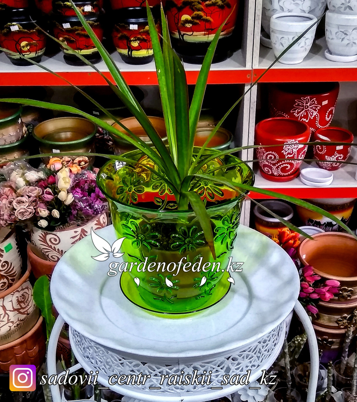 Пластиковый горшок для орхидей "Соблазн". Цвет: Зеленый. Объем: 1.5л - фото 3 - id-p56709064