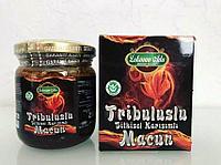 Эпимедиумная паста Tribuluslu Macun Lokman Ada ( 230 g)