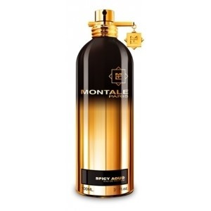 Montale Spicy Aoud (Монталь Спайси Ауд) 100 ml (edp)