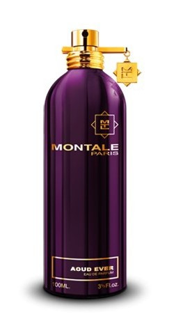 Montale Aoud Ever (Монталь Aoud Ever) 100 ml (edp)