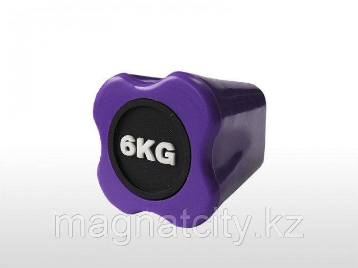 Бодибар FT 6 кг пурпурный наконечник - фото 1 - id-p56711743